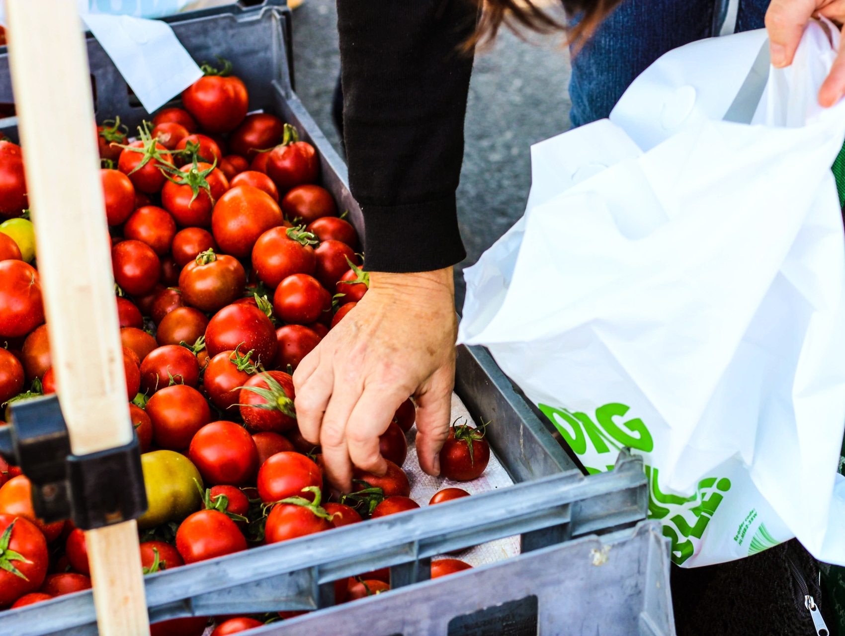 2 Blog Stable Reopenings