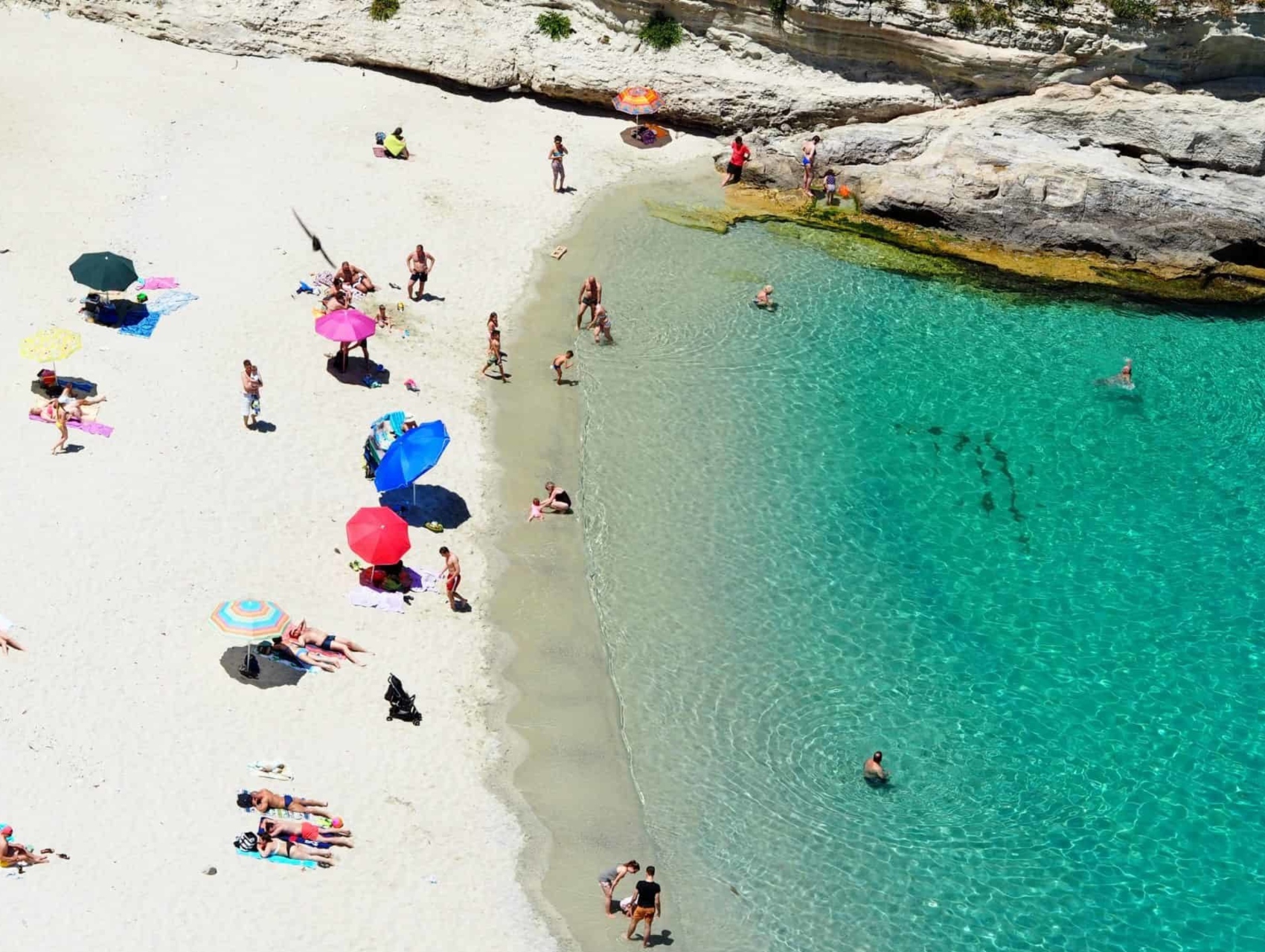 2 Blog UN recognizes BlueDot’s potential to transform tourism Feature