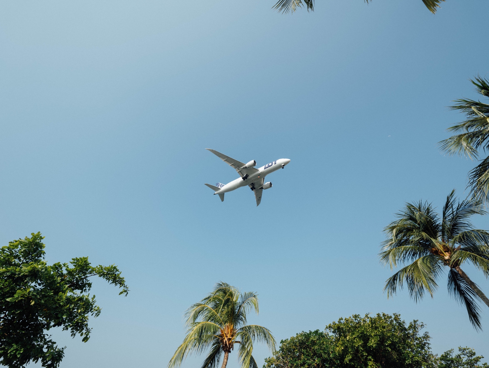 2 Potential for monkeypox (mpox) exportation