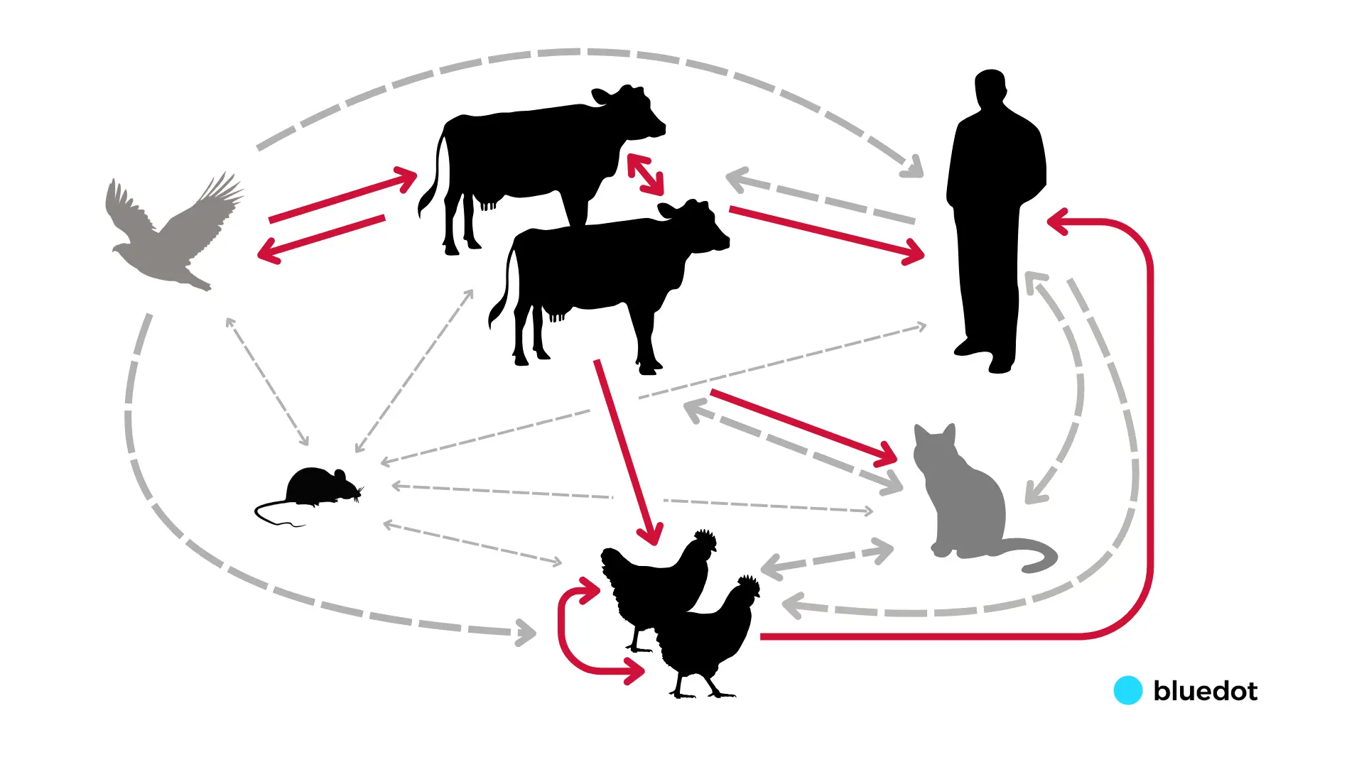 H5N1Transfer chart v3 web version