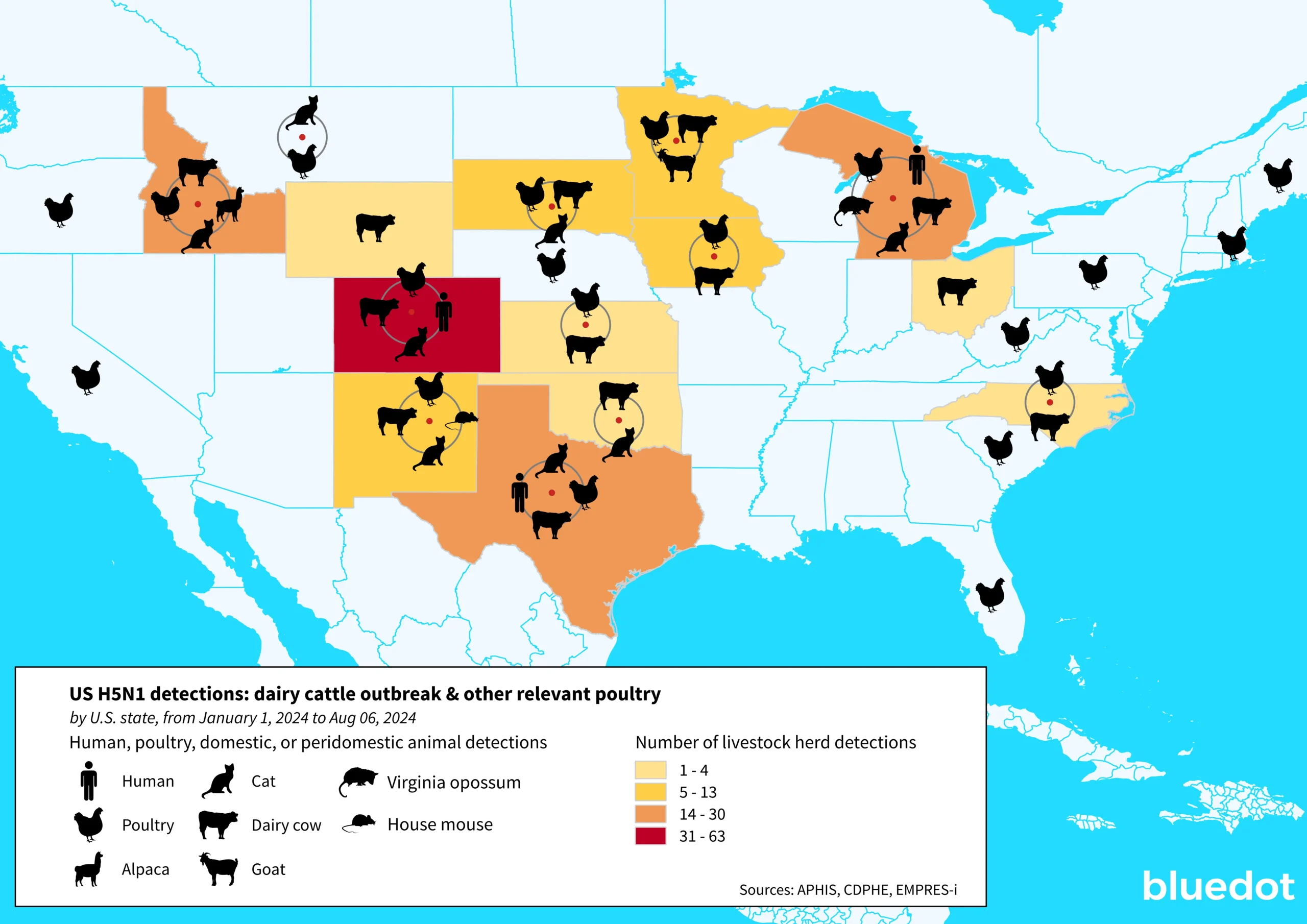 bovineH5N1map 07AUG2024 web version