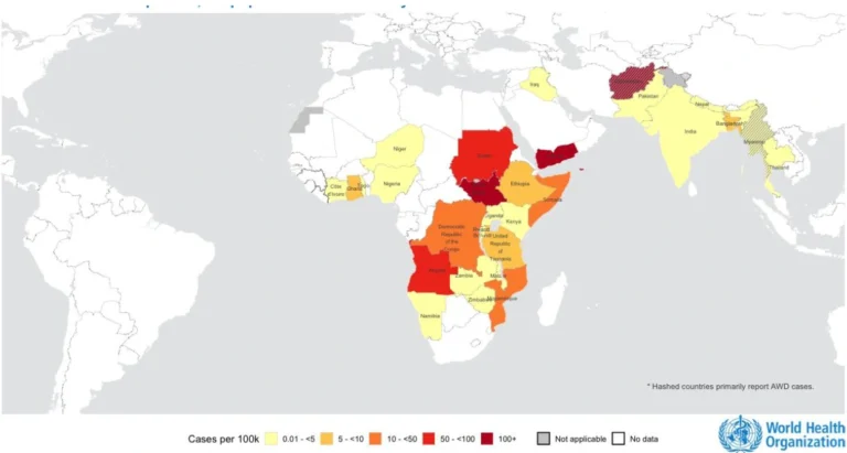 Cholera and AWD first half 2025