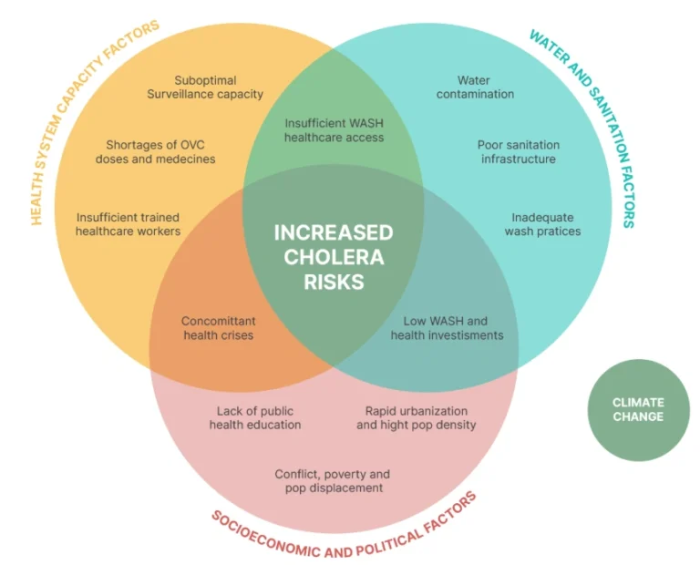 Factors cholera risk