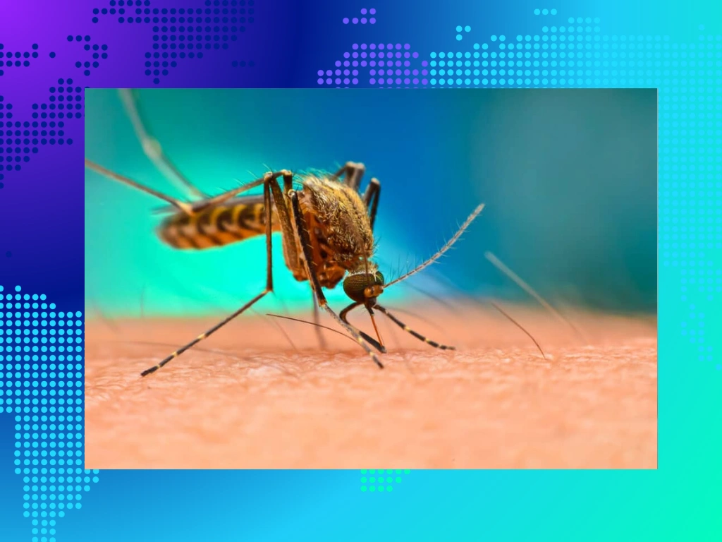 malaria